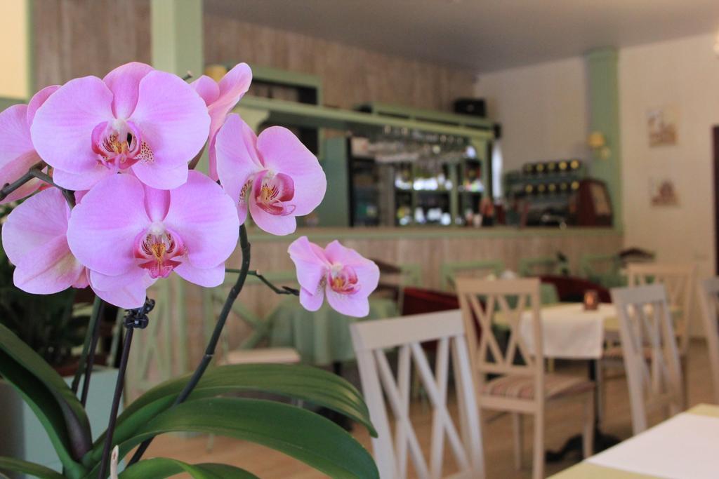 Seasons Spa Boutique Hotel Kozyn Eksteriør bilde